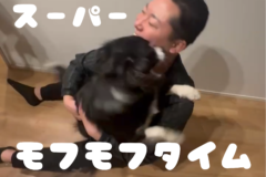 春のモフモフタイム！