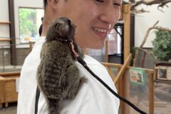 動物園🐒