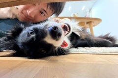 雨続き…🐕
