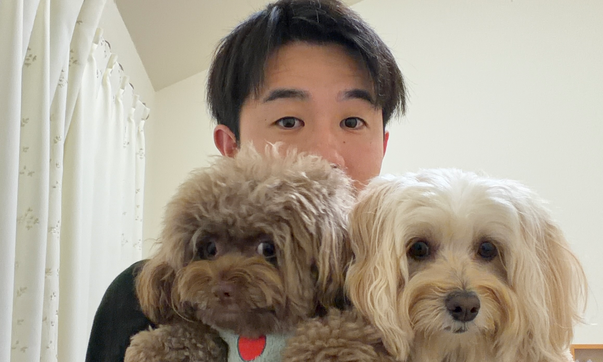 癒しは2匹の愛犬です！